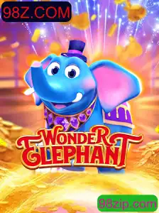 Descubra o Mundo Fascinante de WonderElephant